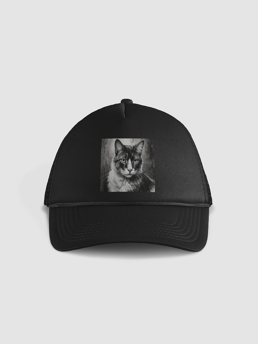 Cat product image (1)