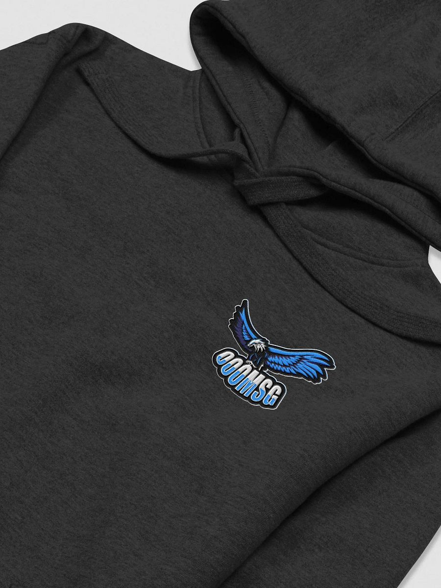 MSG OG Embroidered Hoodie product image (3)