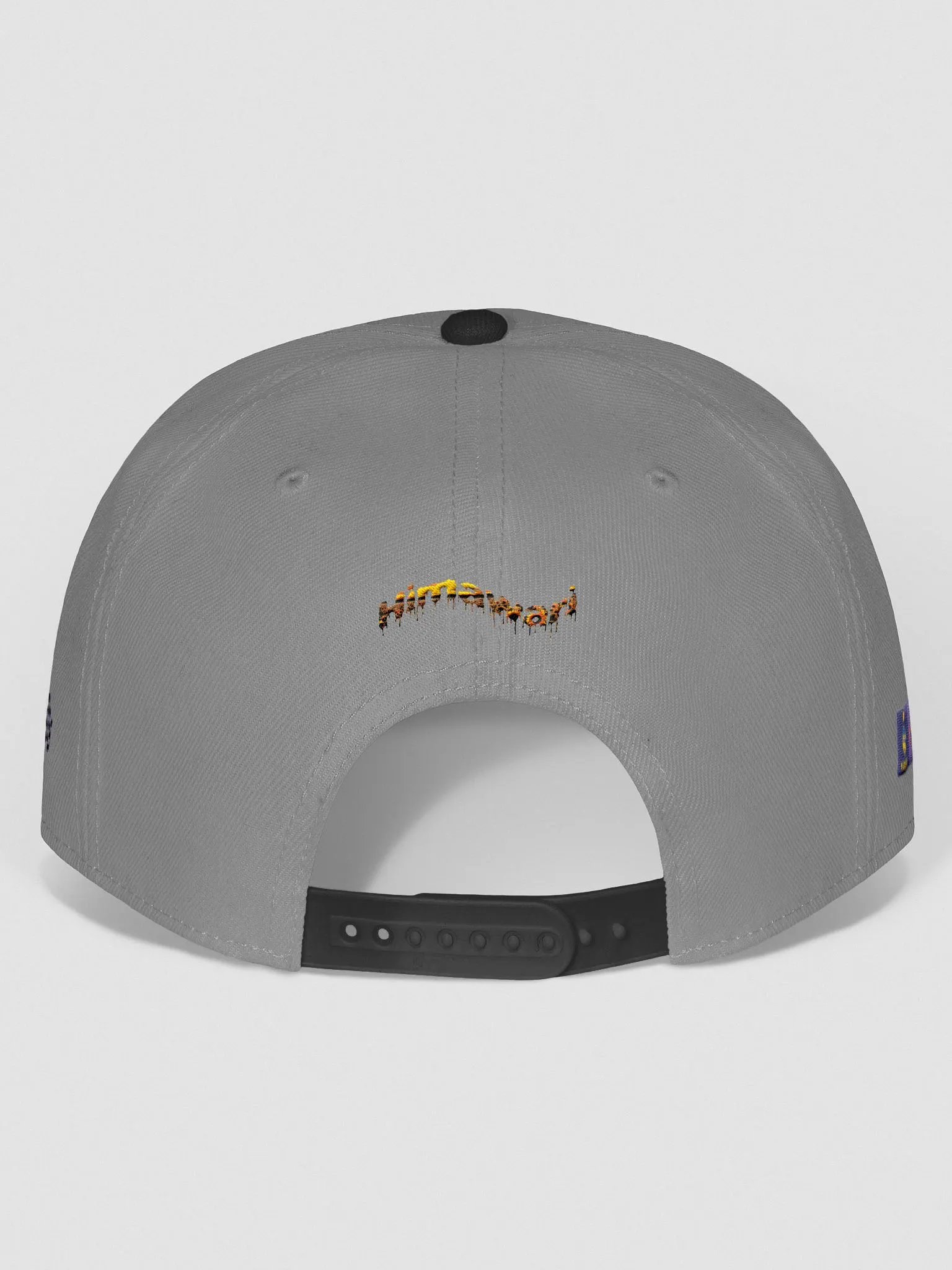 HDS Snapback product image (4)
