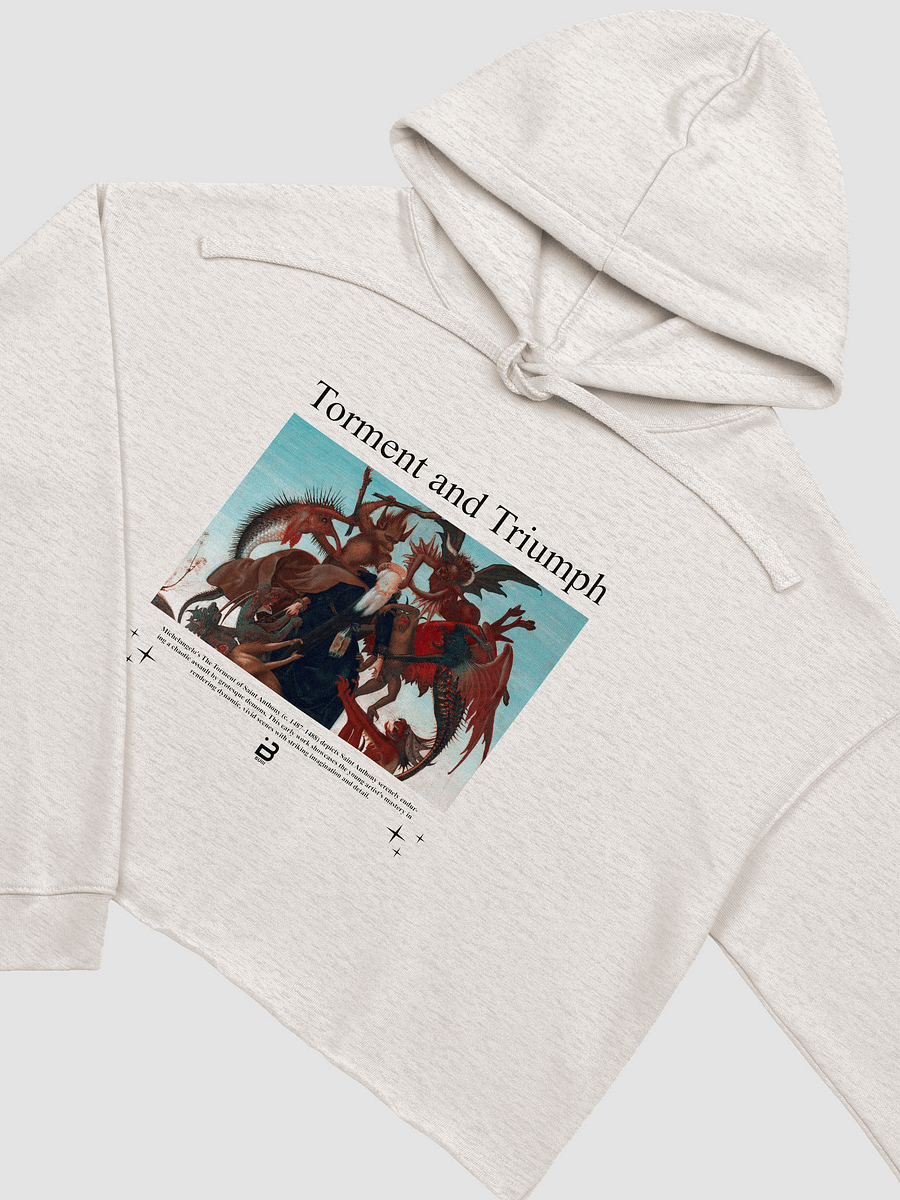 Torment and Triumph - BUIII Remix Fleece Crop Hoodie product image (9)