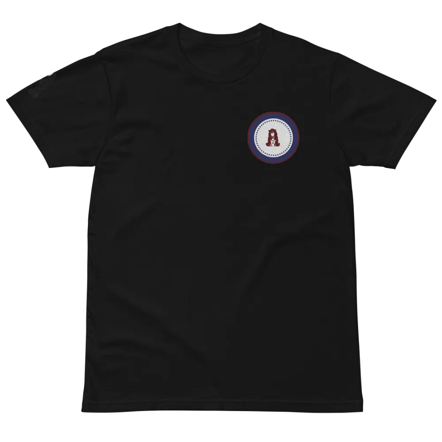 RSFA Tee product image (10)