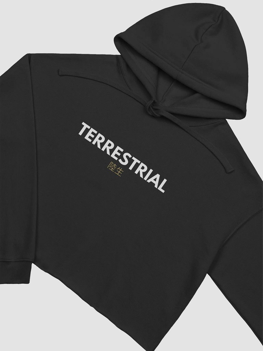 Terrestrial Logo Crop Hoodie product image (9)