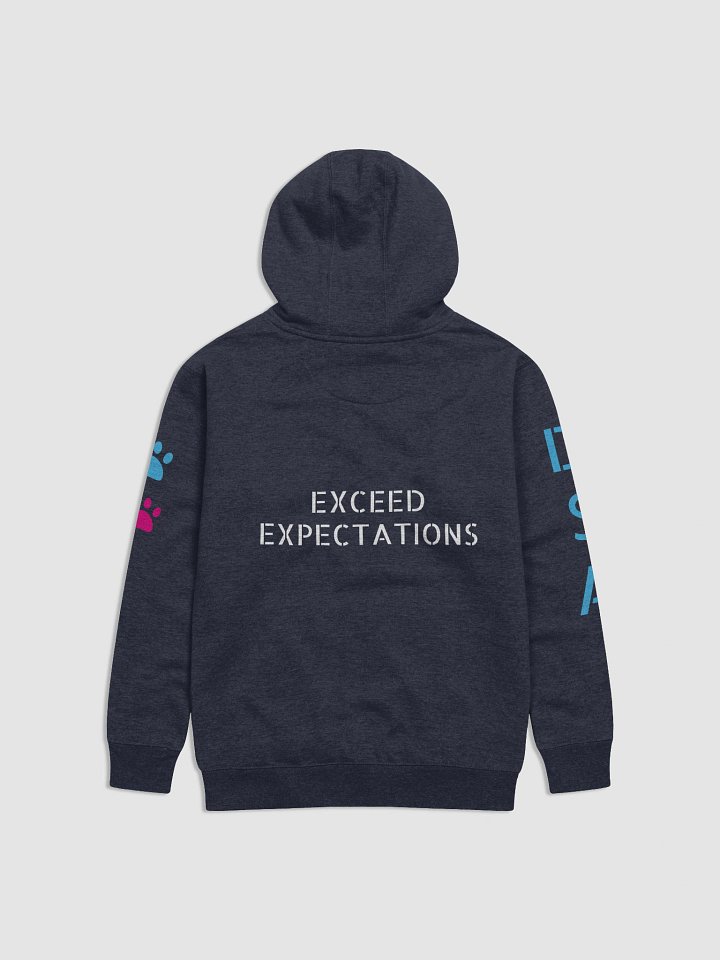 PRESSURE IS A PRIVILEGE HOODIE product image (11)