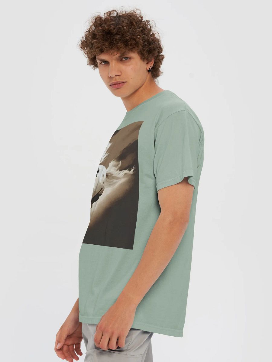 Willpower Garment-Dyed Heavyweight T-Shirt product image (6)