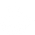 blacksail.finance@protonmail.com