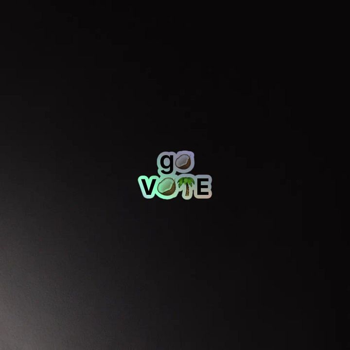 go vote! product image (2)