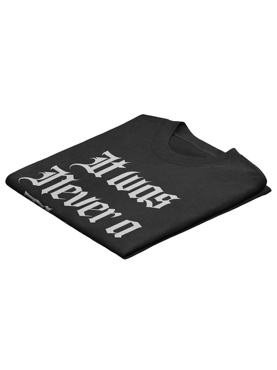 It Was Never a Phase Faded Oversized T shirt product image (4)