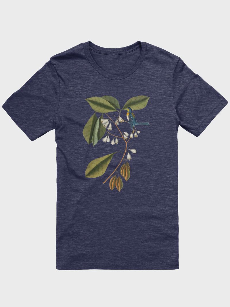 Silverbells and a Parula Soft T