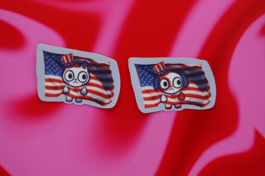 American Flag Cat and Dog product image (1)