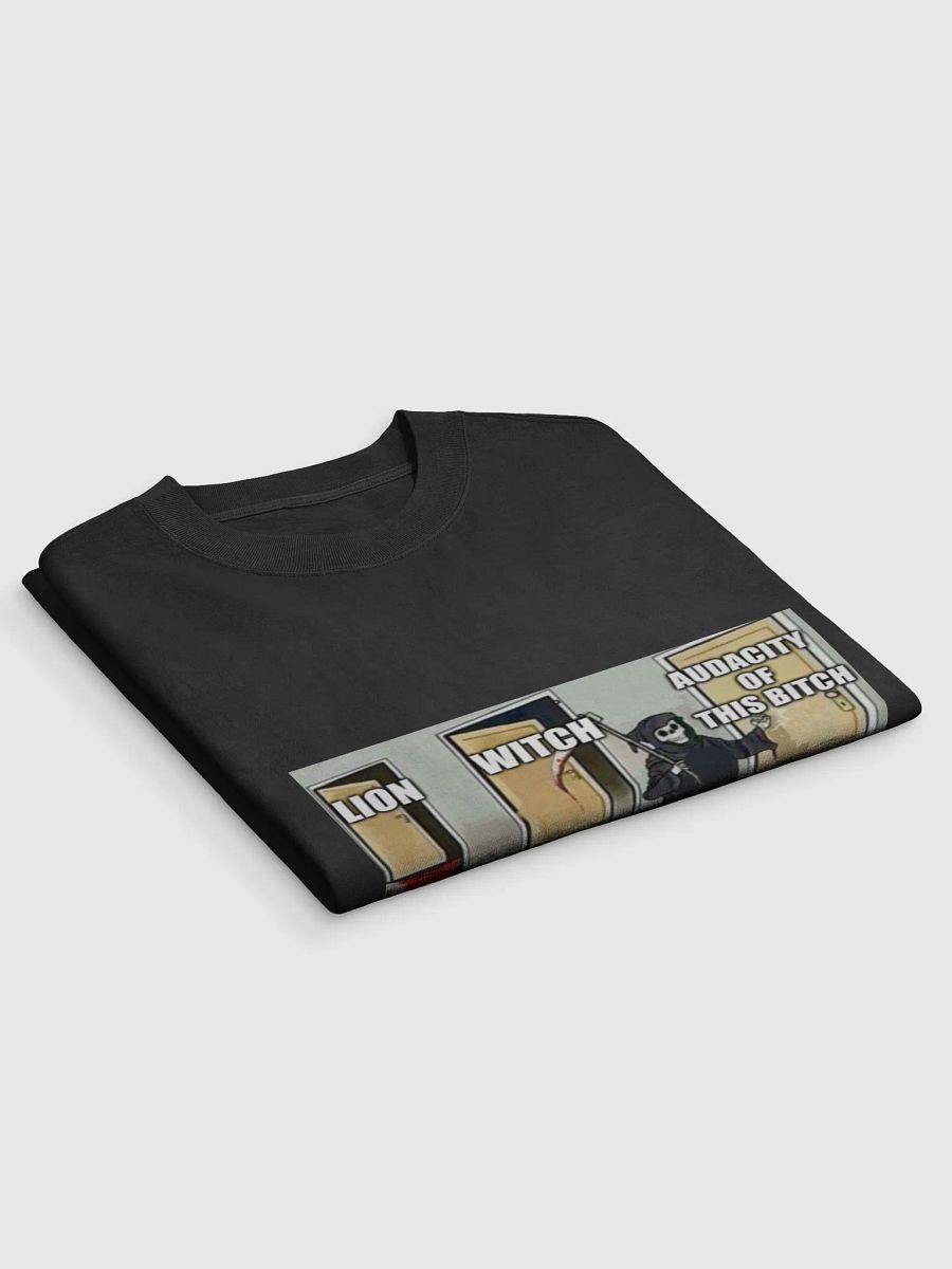 has anybody ever actually read the lion the witch and the wardrobe product image (3)