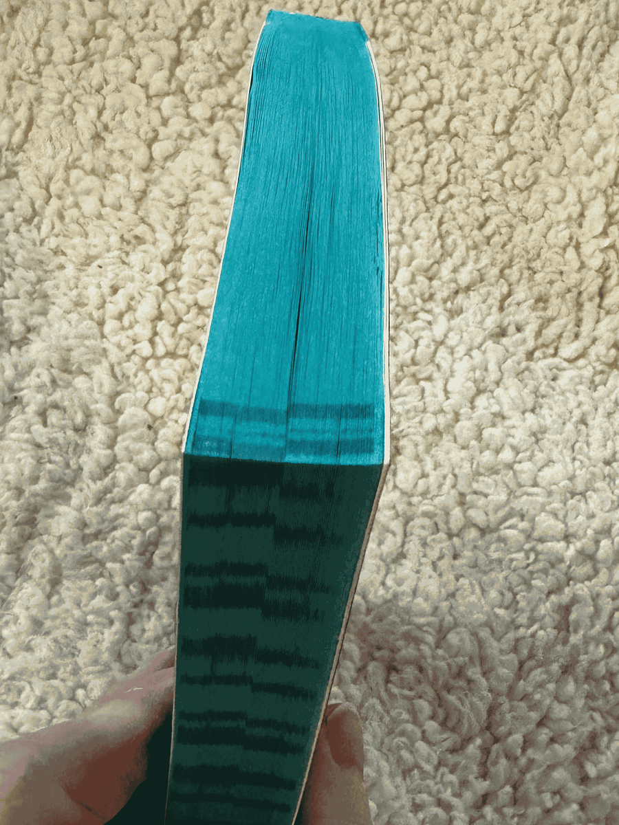 13 TO LIFE Special Limited Edition 13 to Life with Teal Page Edges product image (4)