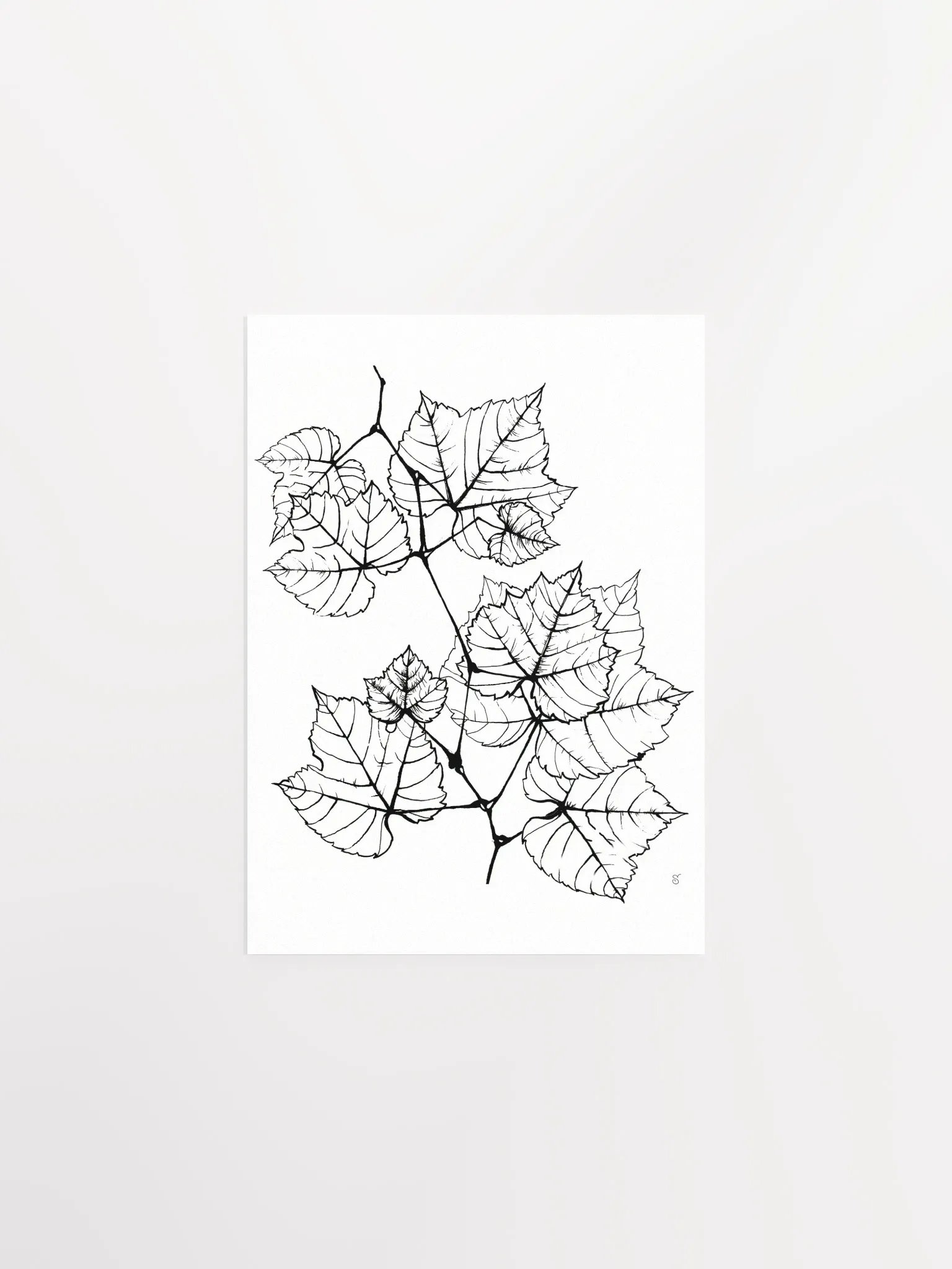 Veined Botanical Branch Matte Poster - Grape Leaves Elegant product image (1)