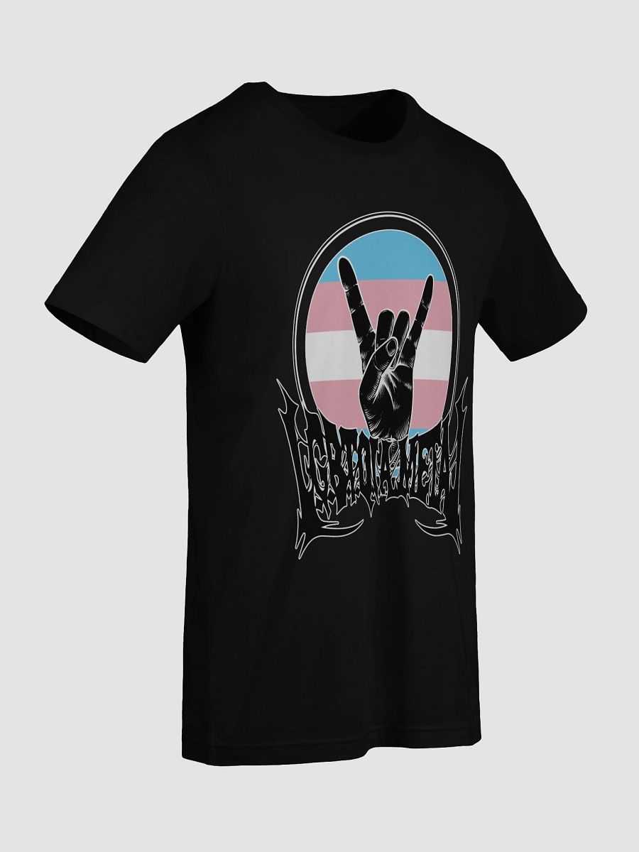 LGBTQIA Trans Flag Unisex Shirt product image (9)