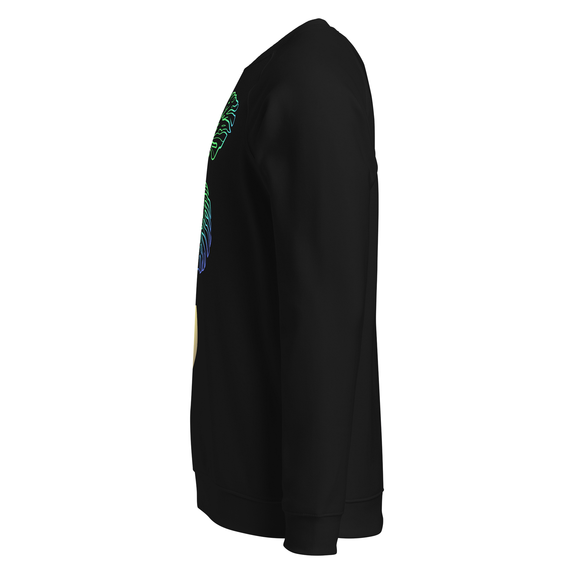 Rainbow Monstera long shirt product image (3)