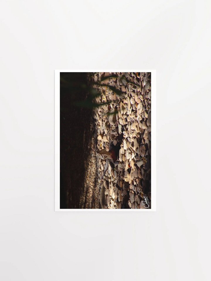 The Lizard King - Print product image (1)
