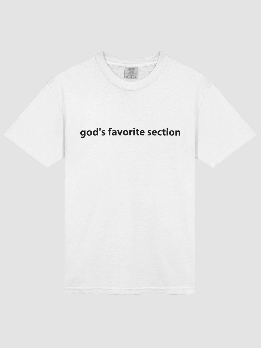 god's favorite section | t-shirt product image (3)