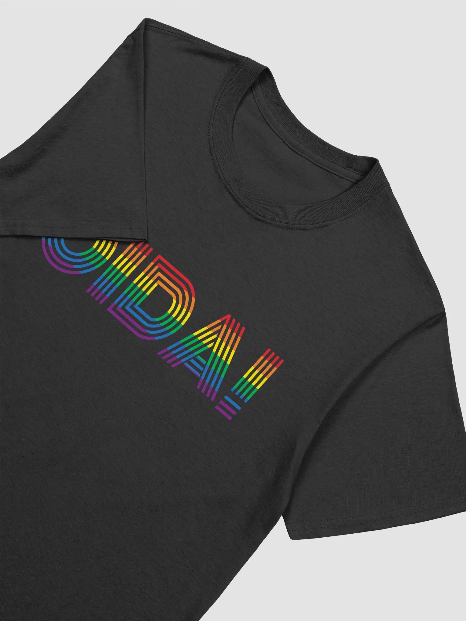 OIDA! Pride T-Shirt | US product image (3)