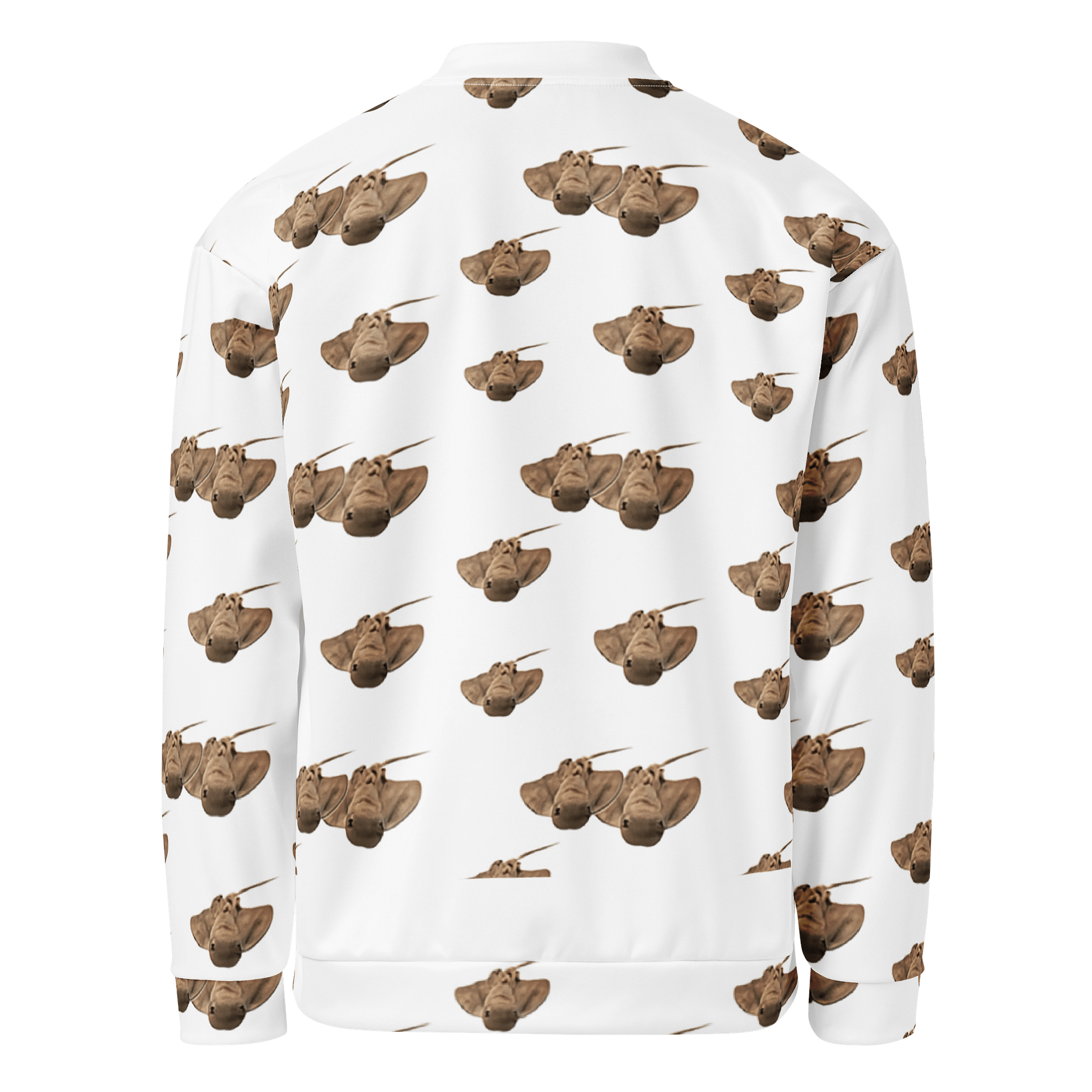 MANTEAU RAIE product image (2)