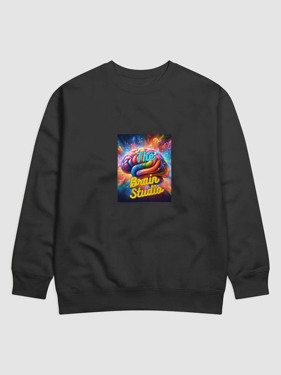 Brain Studio SWEATSHIRT (C) product image (1)