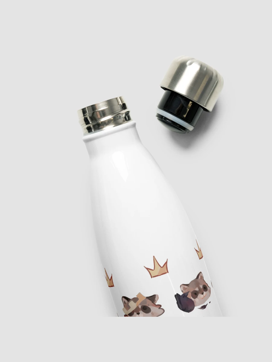 Stainless Steel Water Bottle product image (10)