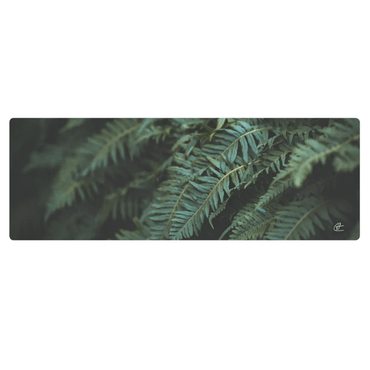 Fern Yogi product image (1)