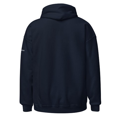 National Air and Space Museum Hoodie (Unisex) product image (6)