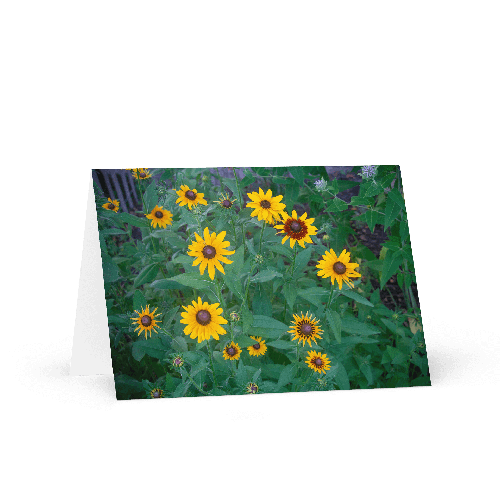 Sunshine Daisy Greeting Card product image (1)