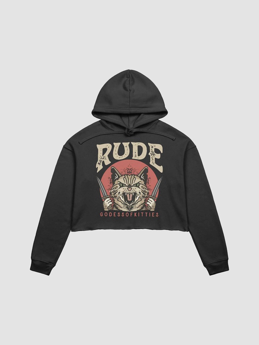 Rude Azula Cropped Hoodie product image (1)