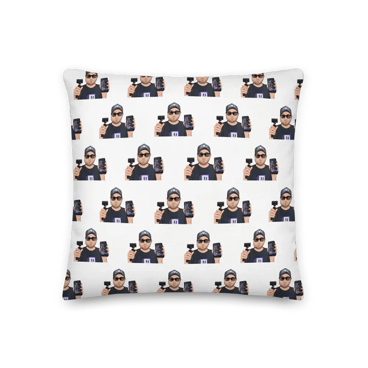 pillow product image (2)