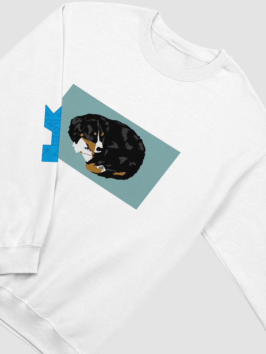 Big Dog Sweat Shirt product image (2)