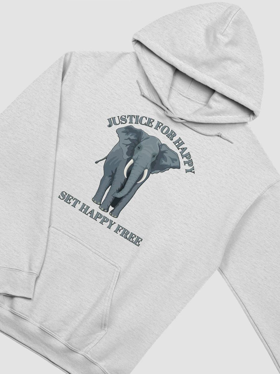 JUSTICE FOR HAPPY, SET HAPPY FREE product image (31)