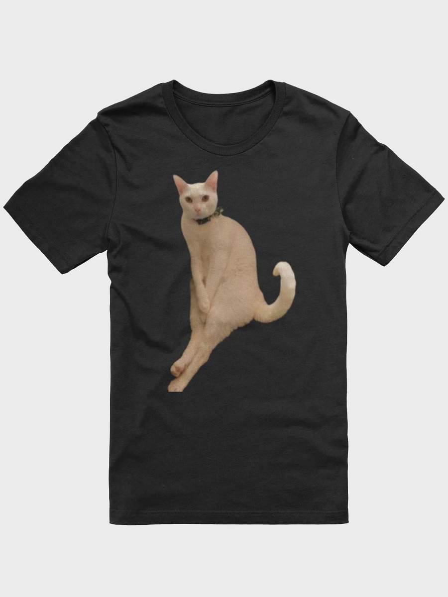 MeowSim product image (1)