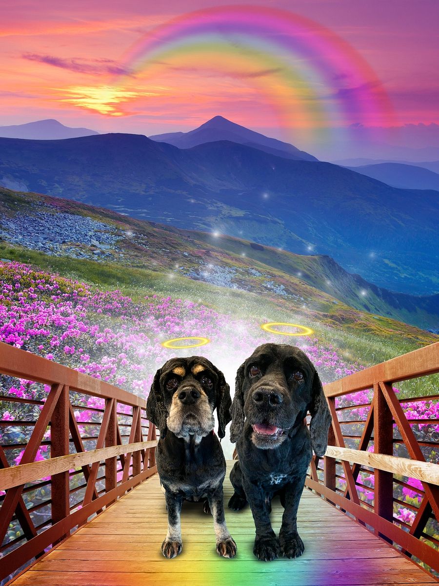 Rainbow Bridge Custom Portrait product image (4)