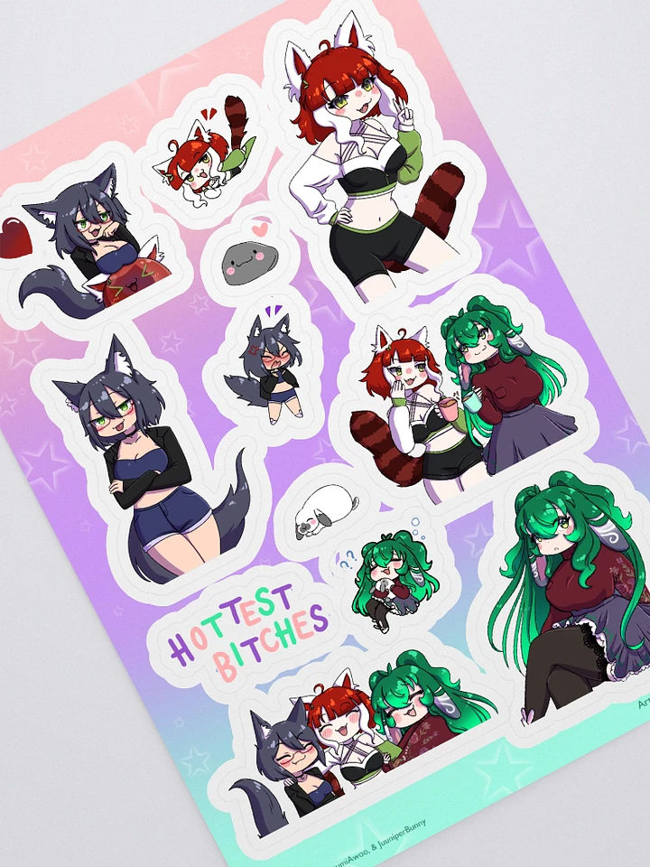 Hottest Bitches Sticker Sheet product image (1)