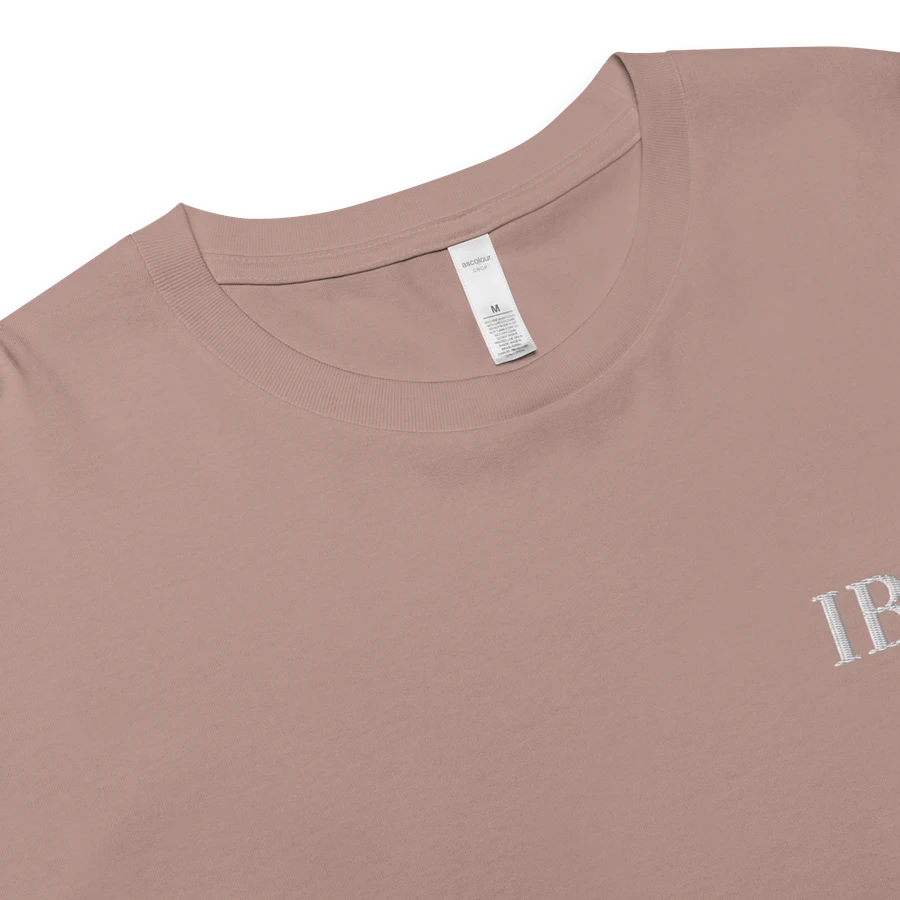 Embroidered Nude IBVL Signature Crop Top product image (3)