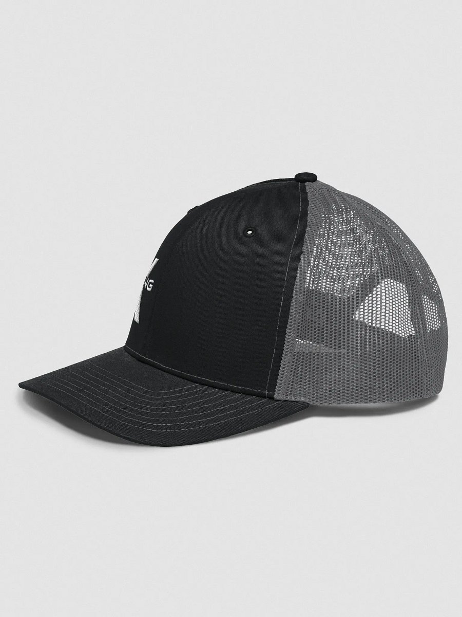 THE Hat product image (14)