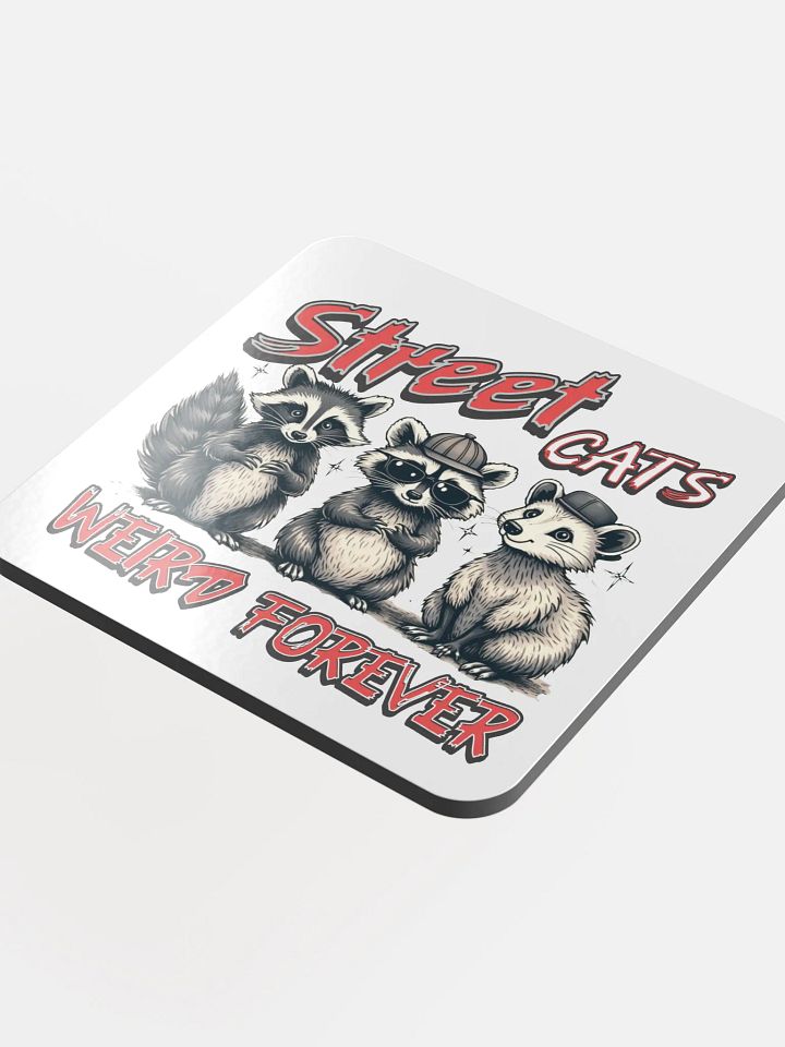 Street Cats Weird Forever Raccoon Coaster product image (1)