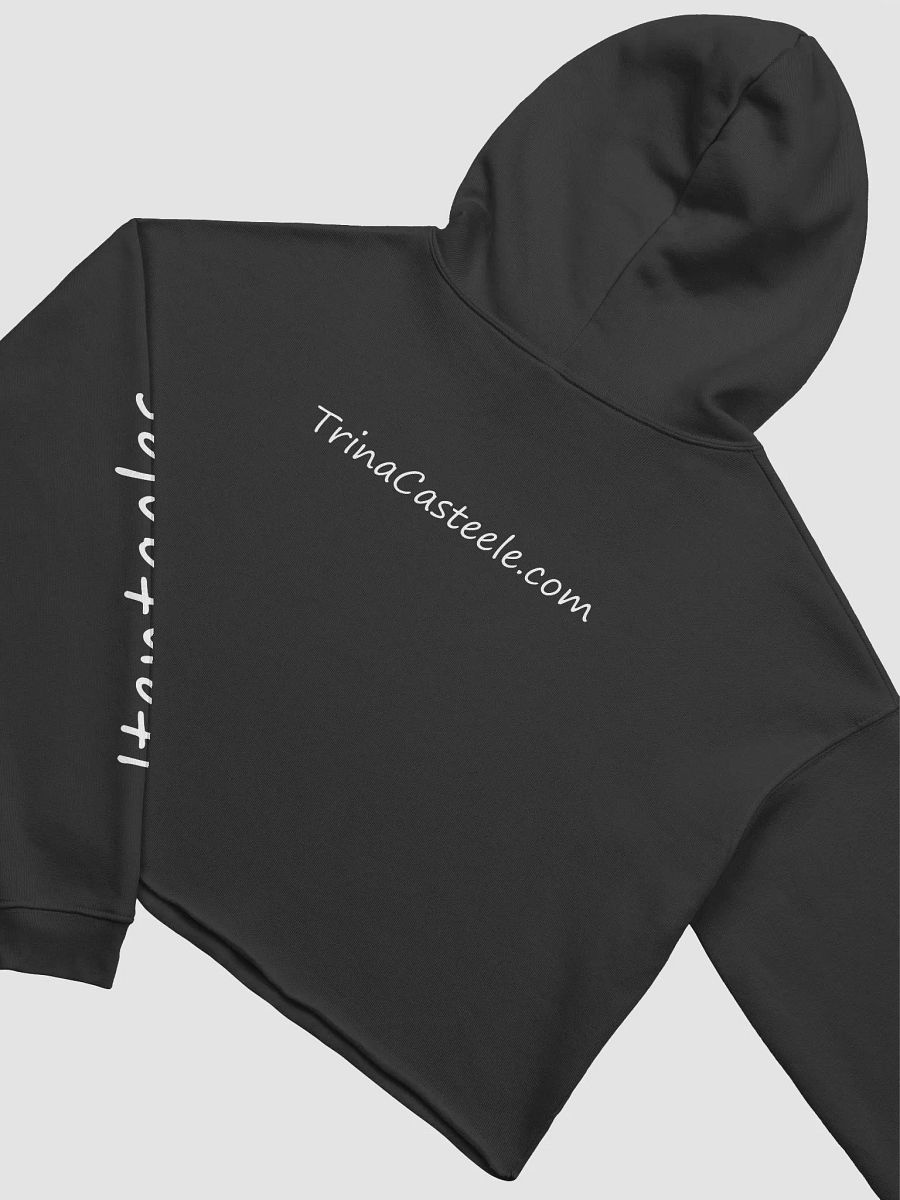 Banned Butt Crop Hoodie product image (4)