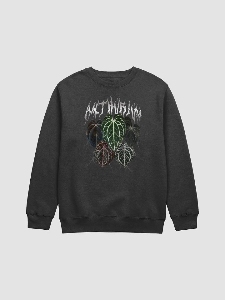 Anthurium Band Sweatshirt product image (1)