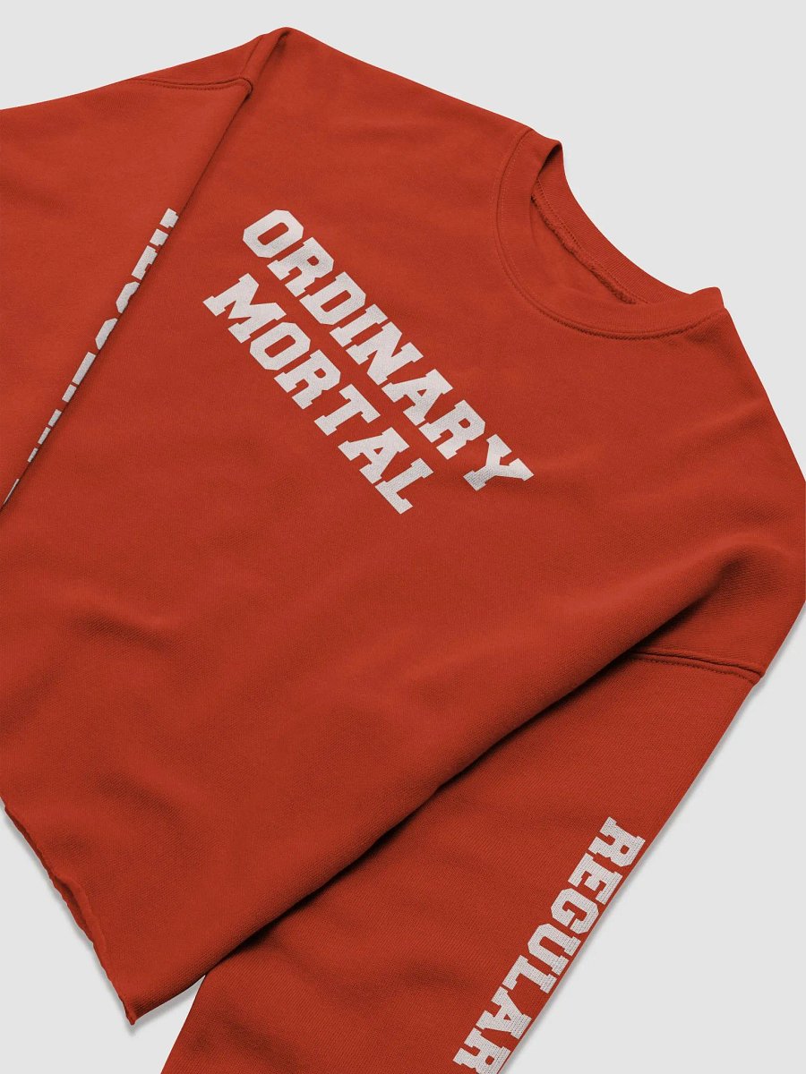 (2 sided) Ordinary Human crop sweatshirt product image (4)