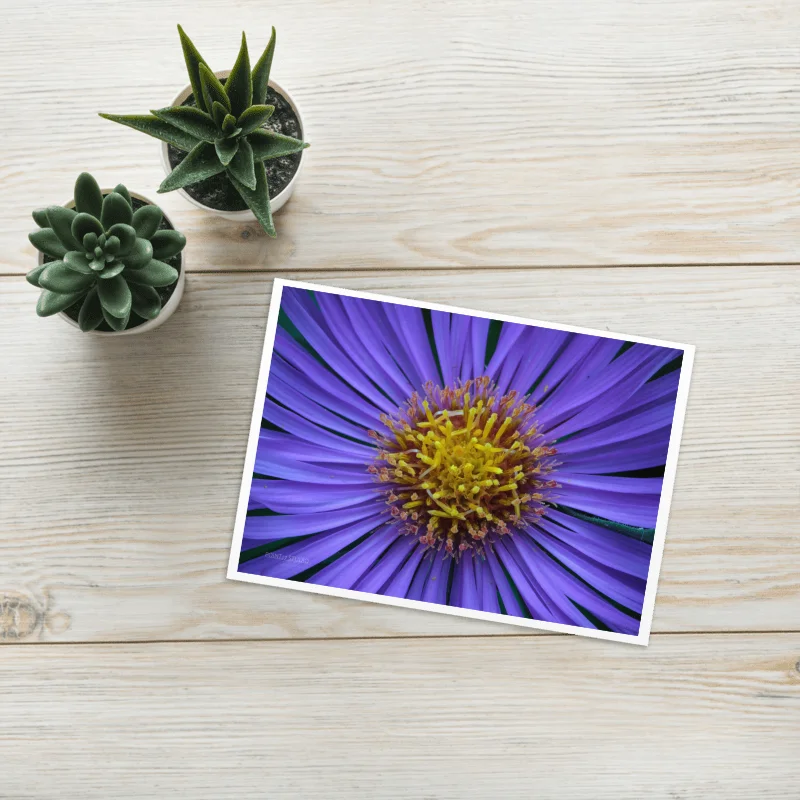 Aster-Licious Greeting Card product image (1)