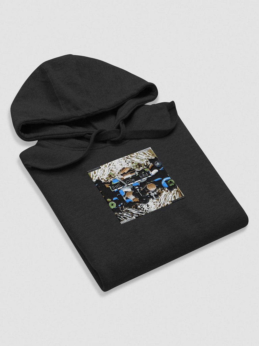Lost Coast Hoodie product image (6)