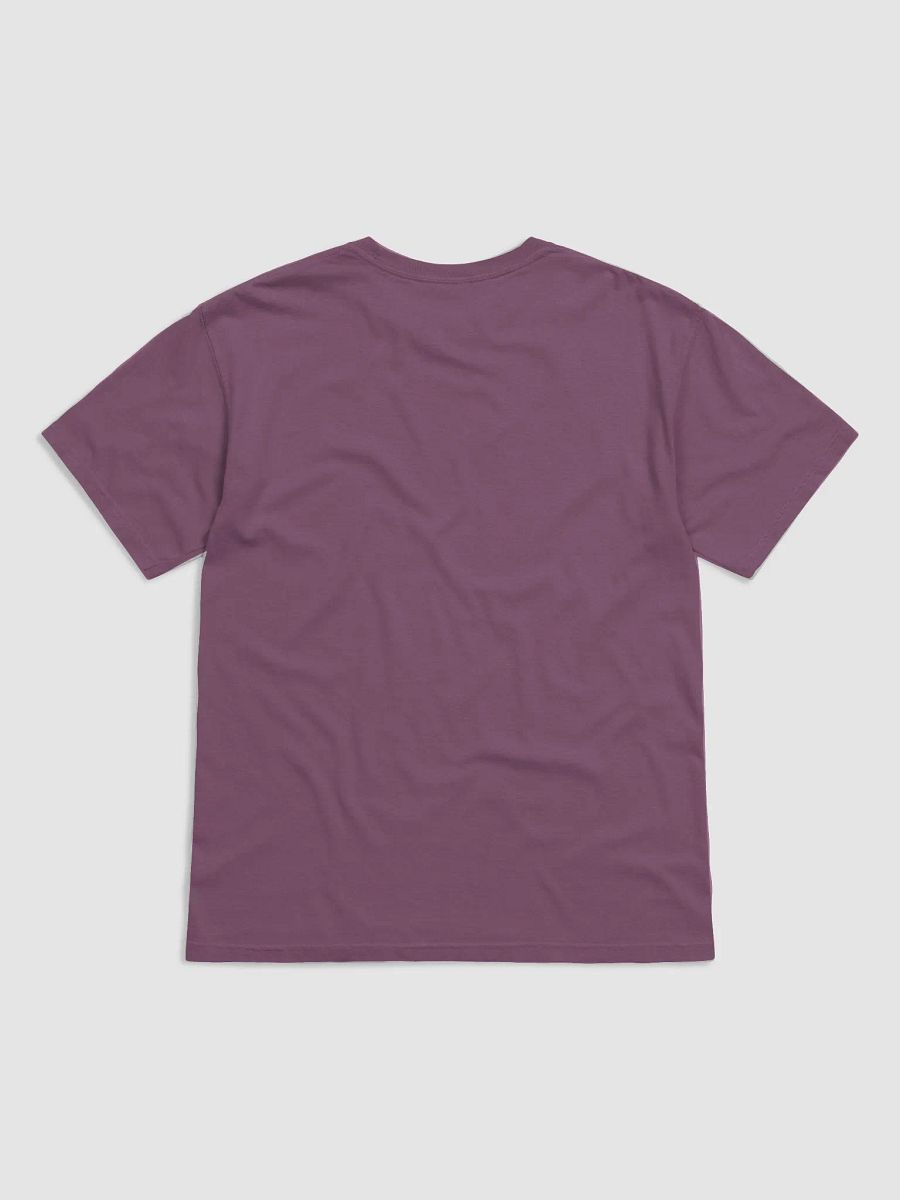 Banjos For Veterans (B4V) T-Shirt (Comfort Colors 1717) product image (17)