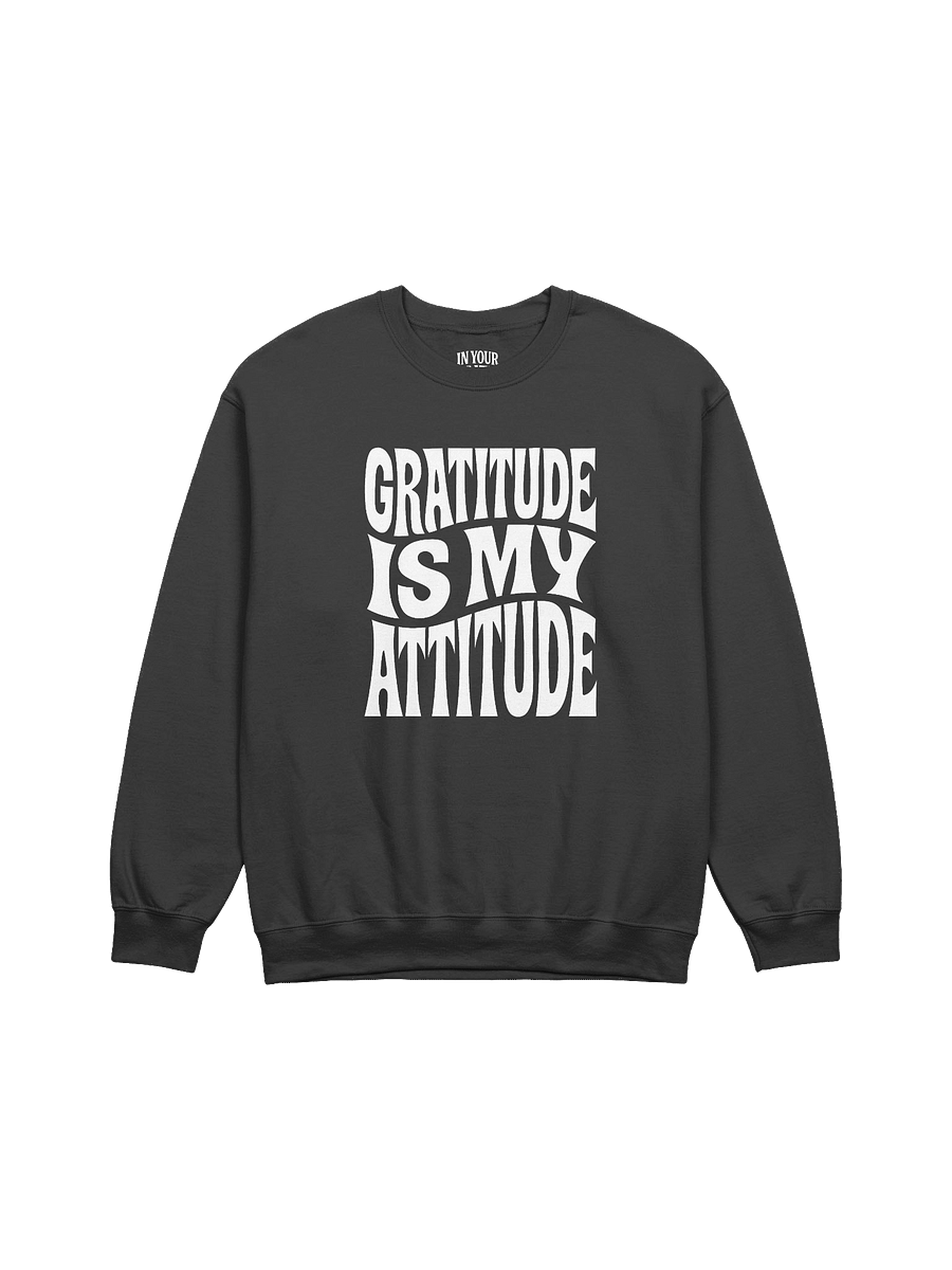 Gratitude Is My Attitude Sweatshirt product image (1)