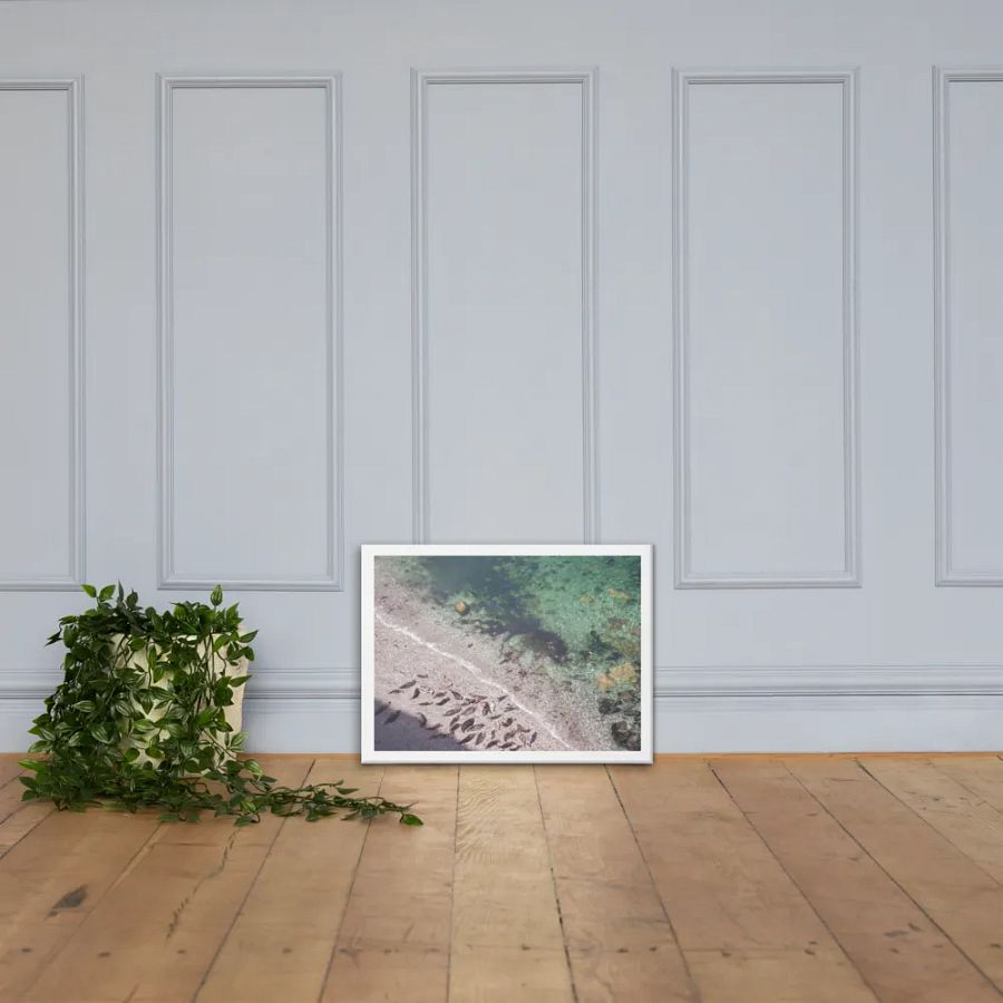 Seals on a hidden beach product image (4)