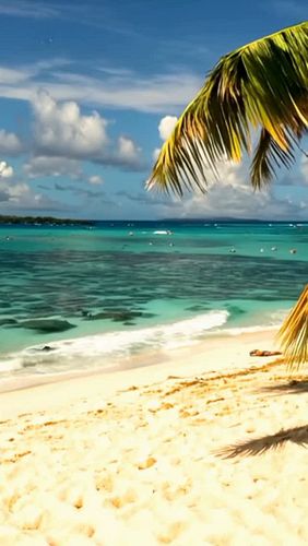 Klicken Sie unten für Angebote und Inspiration für Ihren nächsten Urlaub!
zum Angebot (Partnerlink):
https://tidd.ly/40JWVKq
...
