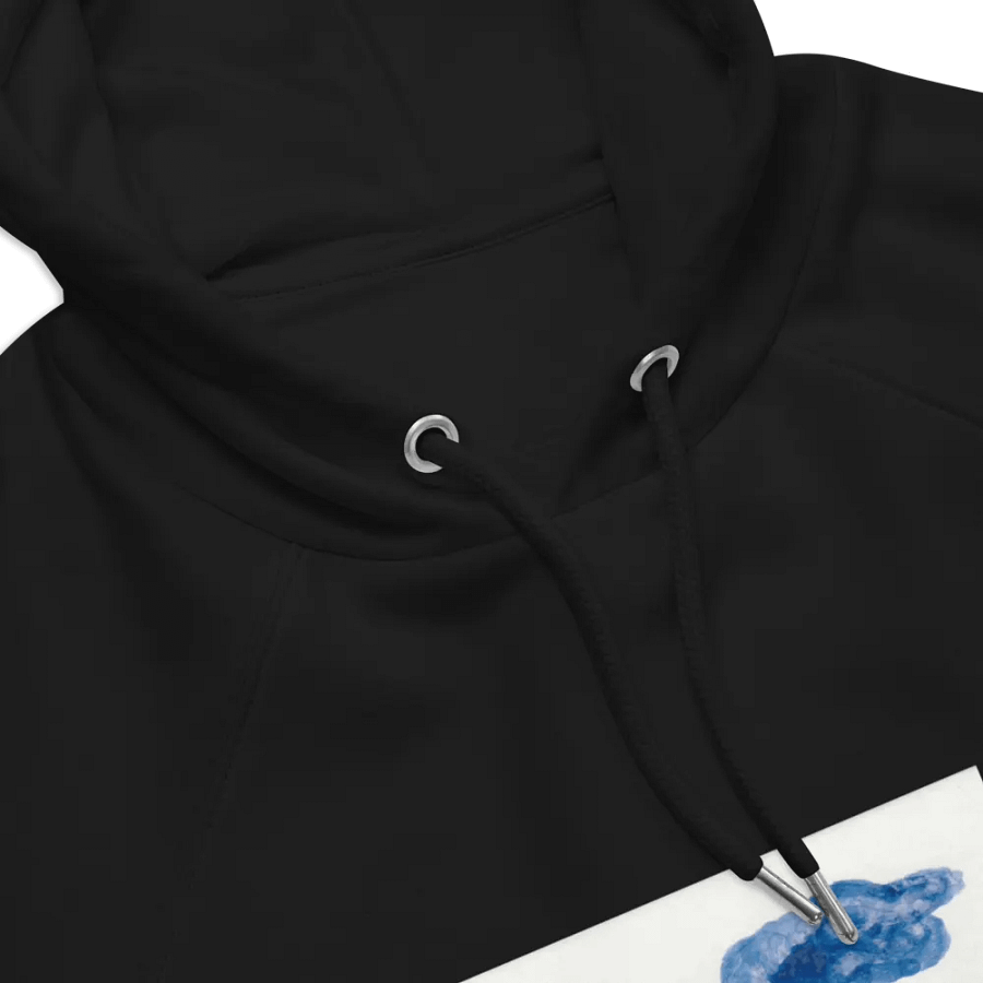 Kid Airplane (SOL'S Unisex Eco Raglan Hoodie) product image (3)