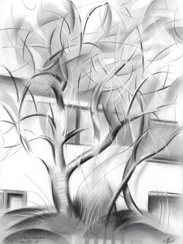 Schoonhoven - 22-02-16 product image (1)