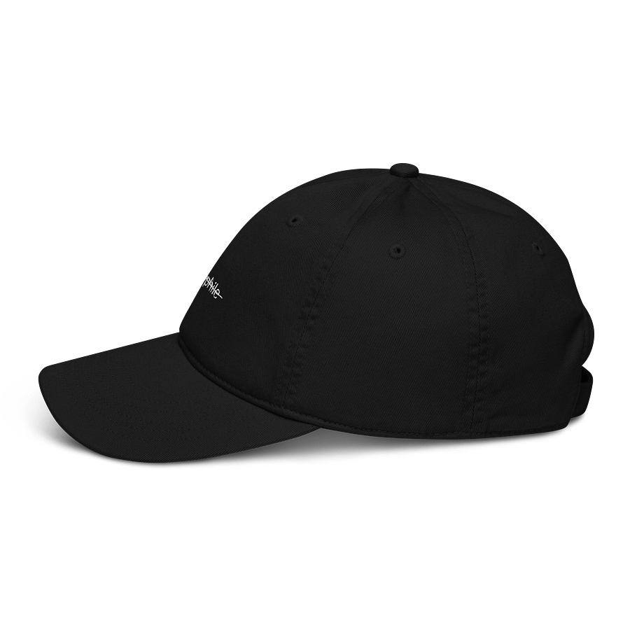 Not an audiophile hat product image (6)