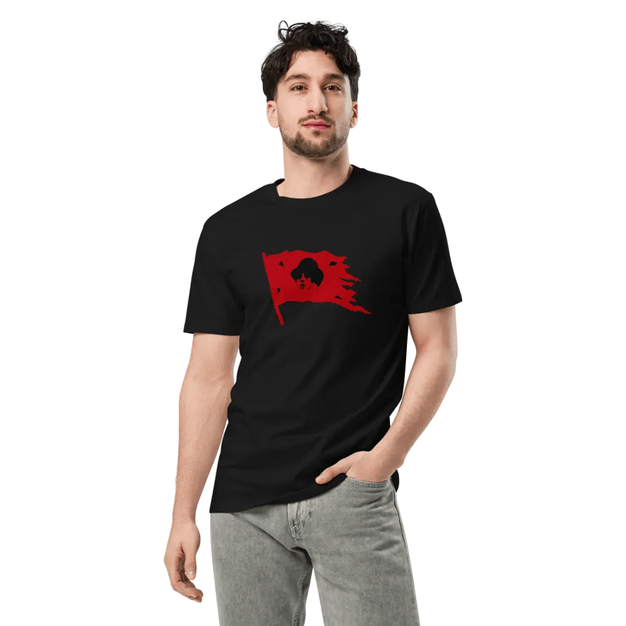T-shirt Saez product image (3)